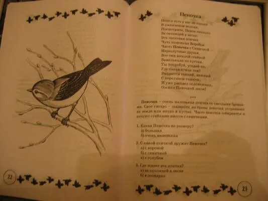 Плещеев птичка стихотворение. Стихотворение Натальи Сердюковой. Плещеев птичка стихотворение иллюстрация.