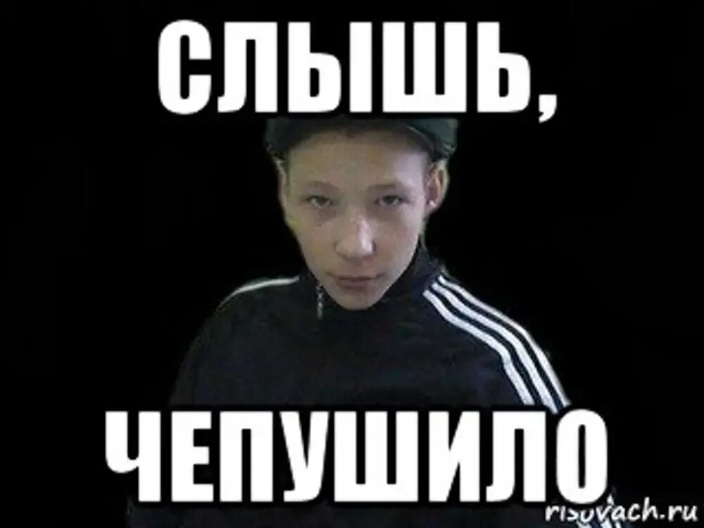 Галимый википедия. Голимая или галимая. Идиоты в социальных сетях. Откисай мем. Красивая гопница.