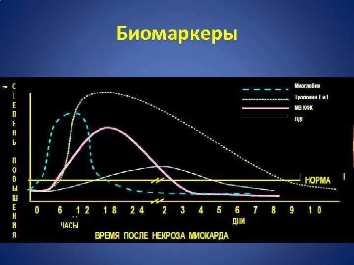 Биомаркеры это. Биомаркеры. Биомаркеры это в медицине. Биомаркеры им. Сенсоры определяющие биомаркеры.