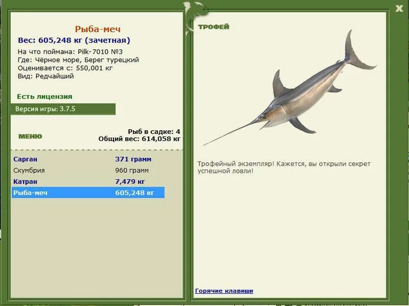 рыба меч вид сбоку. масса рыбы меч. тип рыбы меча. малек марлина. реальная рыбалка рыба меч.