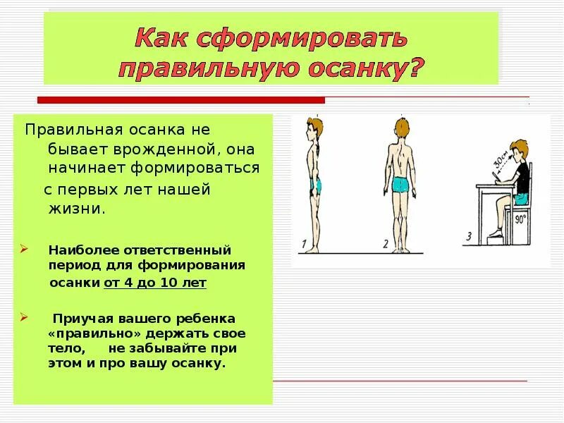 Правильная осанка формируется под влиянием физических упражнений