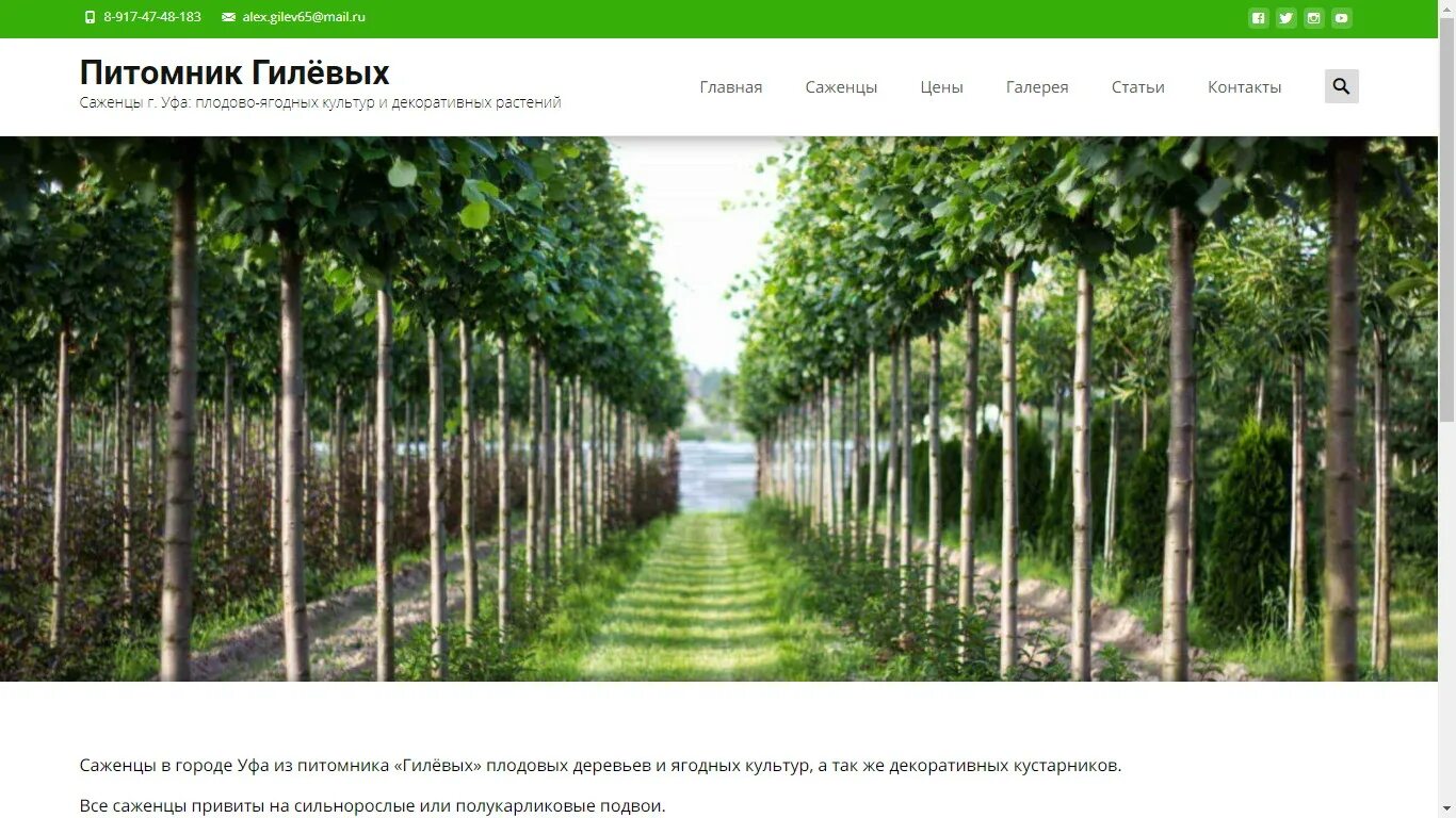 Питомник цветы башкирии