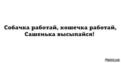 День работаю как собака