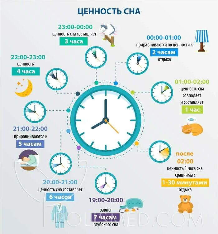 Утром вода спала. Ценность сна. Сон по часам. Часы сна. Ценность сна по часам.