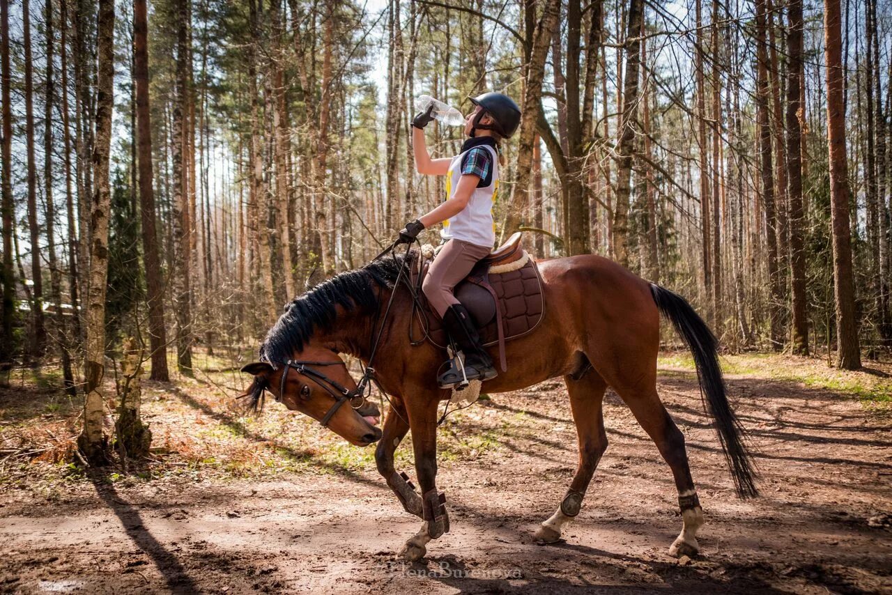 Кск войти. Horse Paradise конный лагерь. Конные пробеги. Конная база забег. Конный клуб Гармония.