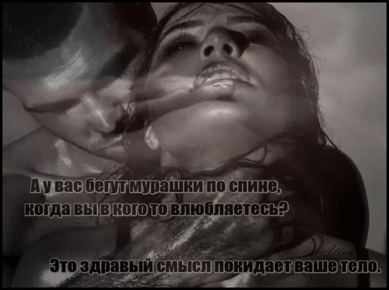 Довел до дрожи
