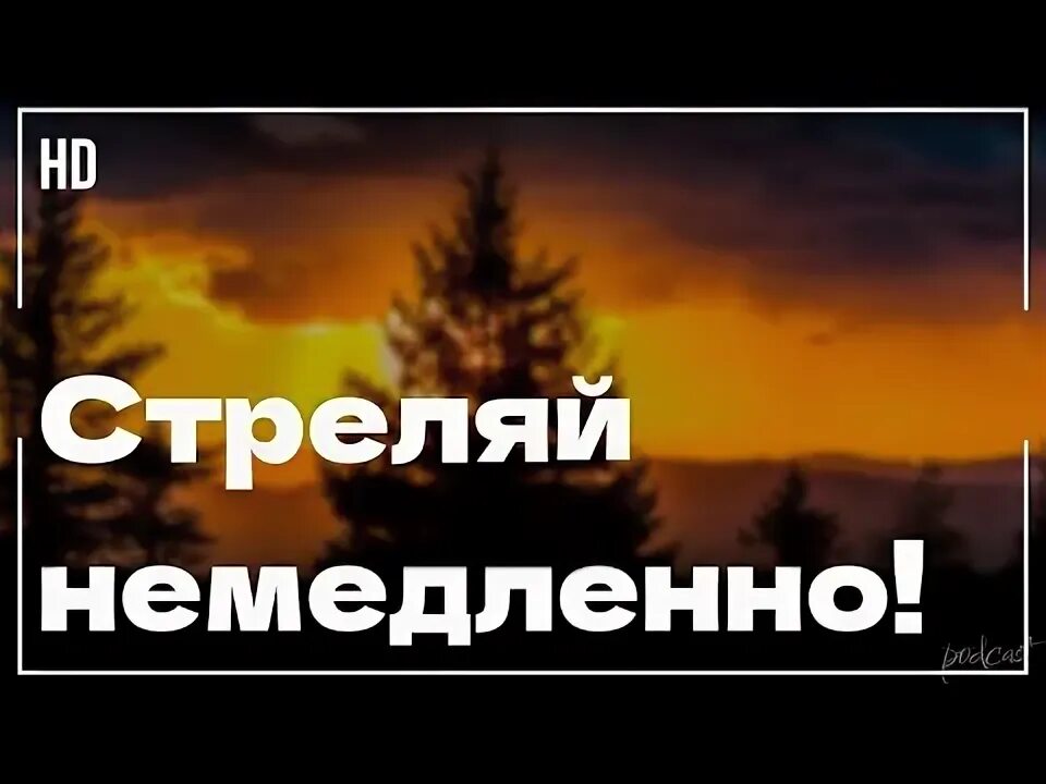 Стрельба немедленно прекращается по команде. Стрельба немедленно прекращается по команде