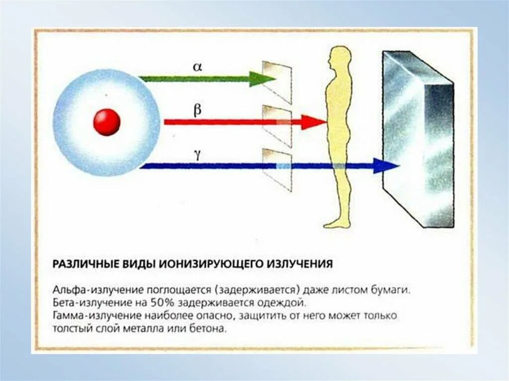 Поток b частиц. Ионизирующее излучение Альфа бета гамма. Биологические действия радиоактивного излучения Альфа лучей. Действие ионизирующего излучения на различные объекты. Биологическое влияние Альфа излучения.