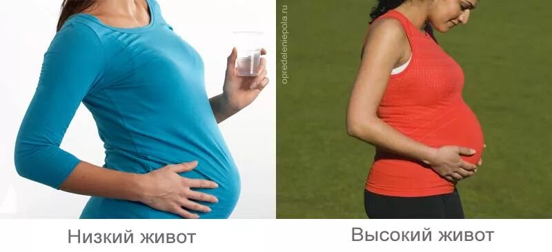 Как по форме живота определить пол ребенка. Под ребенка по форме живота. Как понять по животу пол ребенка. Формс живота и пол ребенка. Определение пола по животу беременной.