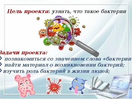 Цель бактерий
