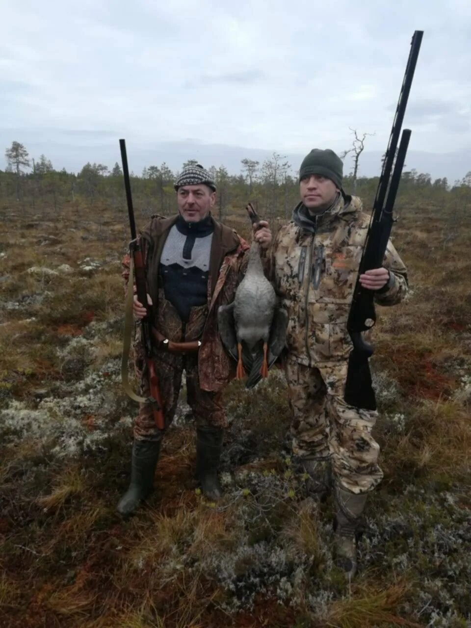 Правила охоты осенью. Охота на гуся в Архангельской области 2022. Охота на гуся осенью 2022. Охота на гуся 2020 осень. Охота на гуся в Карелии.