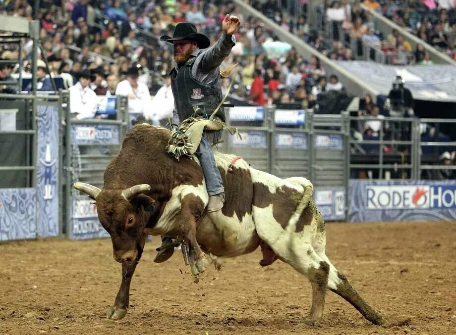 Ковбой на лошади родео. Ковбой родео. Скачки на быках. Ковбой родео. Скачки на быках.