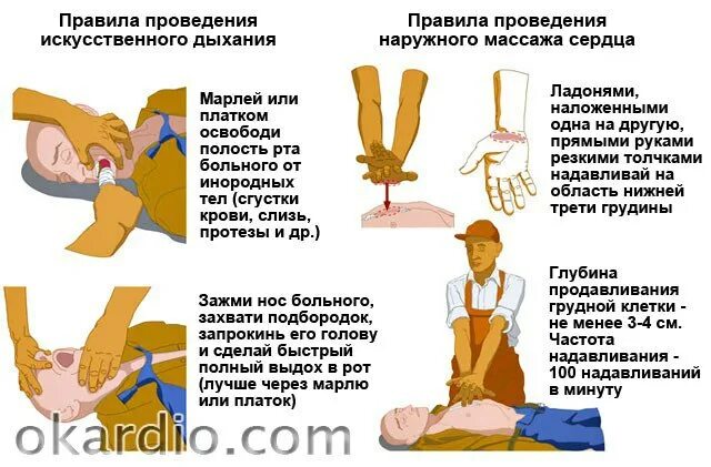 При проведении искусственного дыхания оказывающий первую помощь. Правила проведения искусственного дыхания. правила проведения искусственного массажа сердца. порядок непрямого массажа сердца и искусственного дыхания. порядок оказания искусственного дыхания.