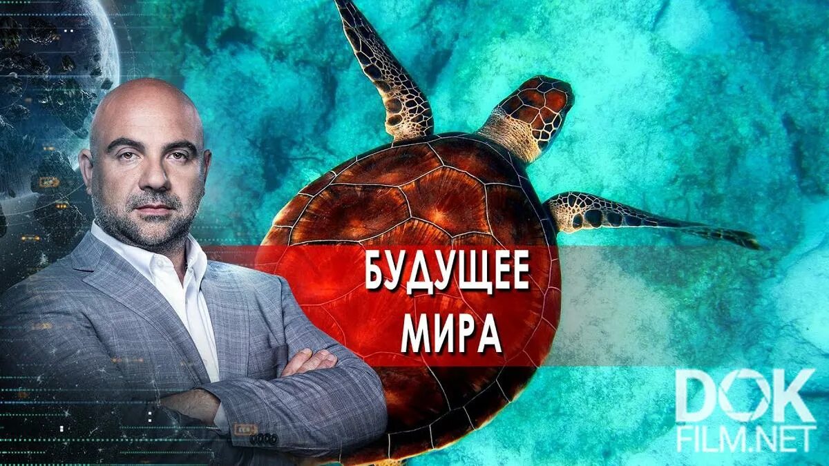 Так устроен мир с тимофеем баженовым. Как устроен мир с тимофеем баженовым. загадки человечества с тимофеем баженовым. фильмом «как устроен мир».