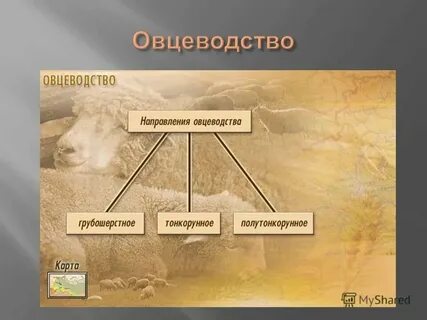 Факторы влияющие на размещение животноводства