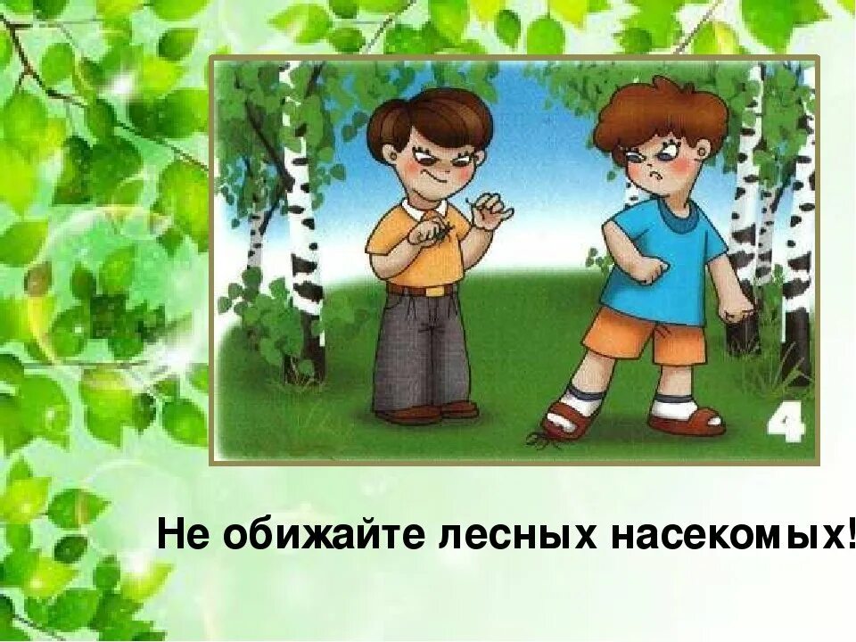 Правила поведения на природе. Поведение в лесу для дошкольников. Безопасность поведения в лесу. Знаки поведения в природе. Не обижай животных