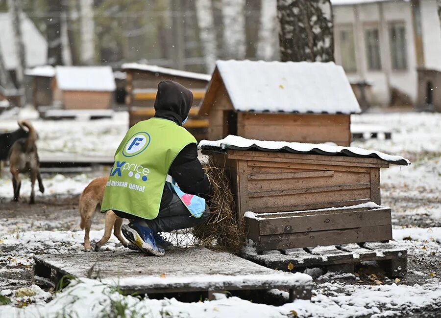 Приюты башкортостана