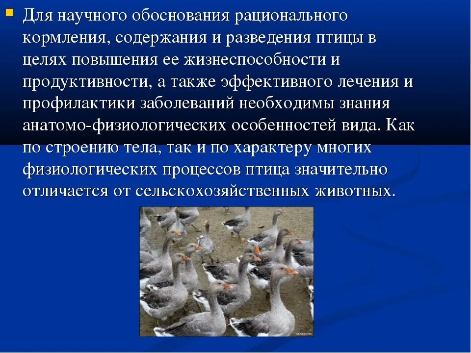 Условия кормления и содержания