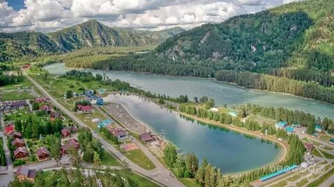 Бирюзовая катунь подгорицы