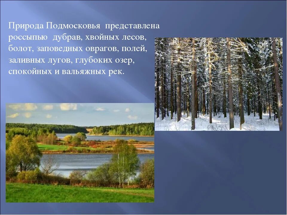 Край московской области окружающий мир. Разнообразие природы Московской области. Край родной Подмосковье. Разнообразие природы в Подмосковье проект. Окружающий мир природа родного края.