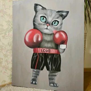 Кот боксер