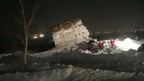 Сыпал снег буланому под