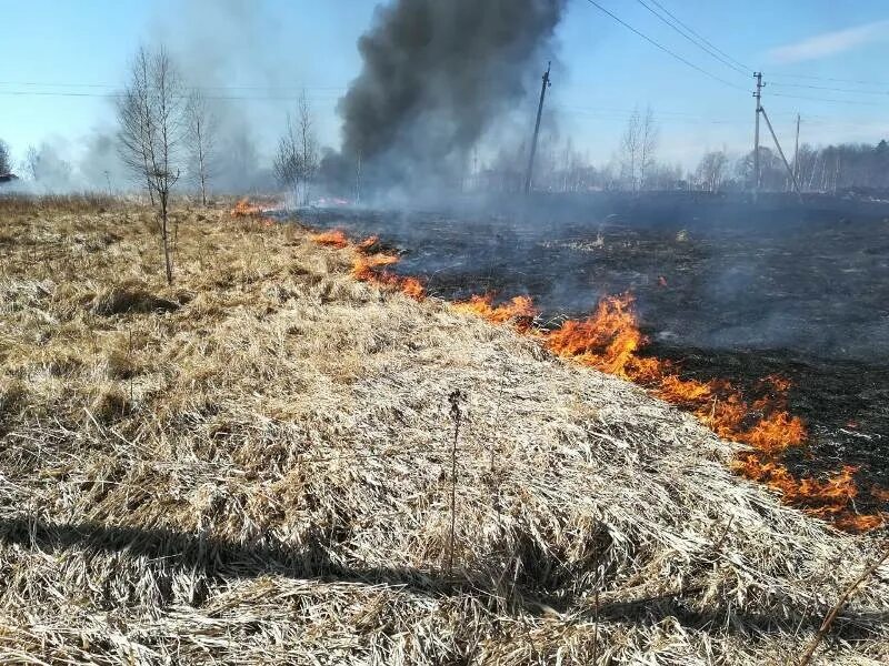 Пал сухой травы преступление. Поджог травы. Палы сухой травы. Пал травы в Лукояновском районе.