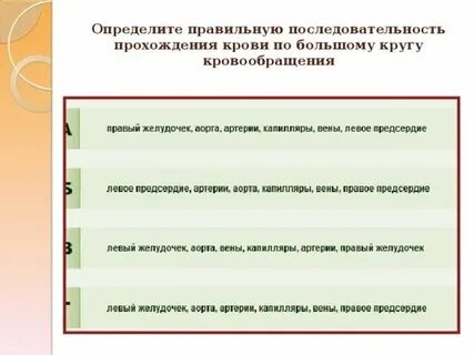 Правильная последовательность прохождения порции кислорода