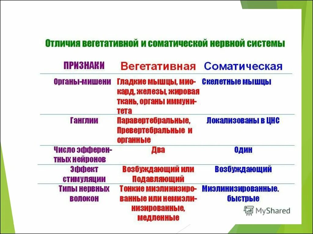 Таблица отличия ВНС от соматической. Различия соматической и вегетативной нервной системы. Соматическая и вегетативная нервная система отличия. Отличия соматической и вегетативной.