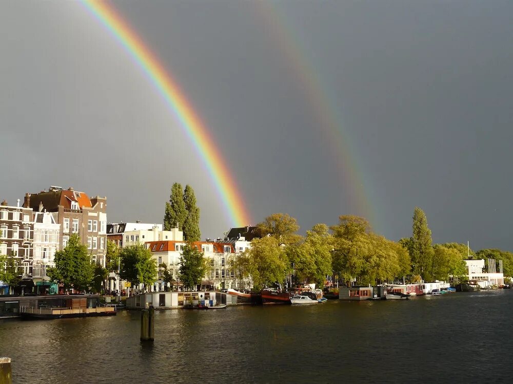Делфт люди. Голландия климат. Амстердам климат. Поле тюльпанов и мельница. Лелистад голландия.