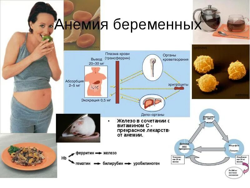 При анемии можно делать. Анемия легкой степени при беременности. 2 степень анемии у беременной. что такое анемия 1 степени при беременности второй триместр. анемия при беременности 1 триместр.