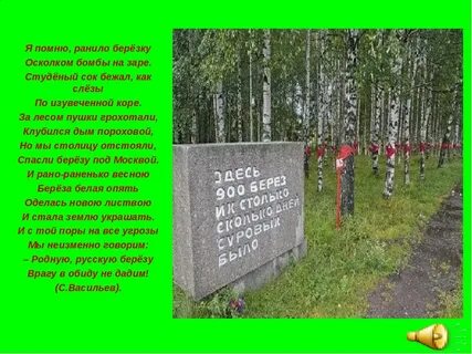 Стихотворение день победы я помню ранило березу