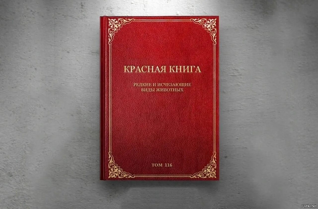 Картинки ПЕРВОЕ ЖИВОТНОЕ В КРАСНОЙ КНИГЕ