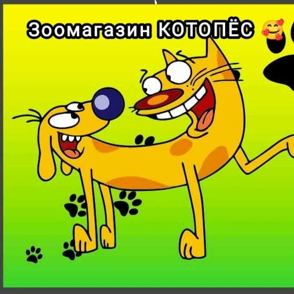 Котопес рубцовск. Котопес картинки. котопес с днем рождения. котопес зоомагазин.