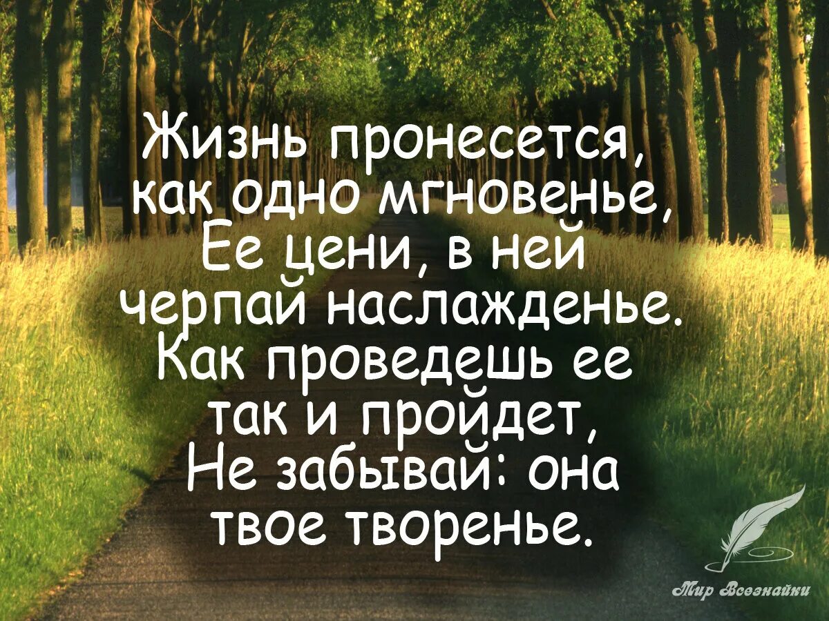 Высказывания о жизни со смыслом в картинках. Красивые и Мудрые высказывания. Интересные высказывания. Красивые философские фразы. Афоризмы и цитаты.