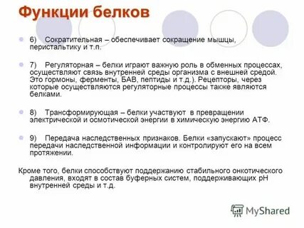 Ферментативная функция белков описание