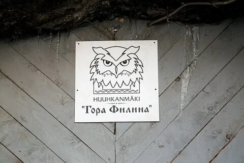 Горе филина