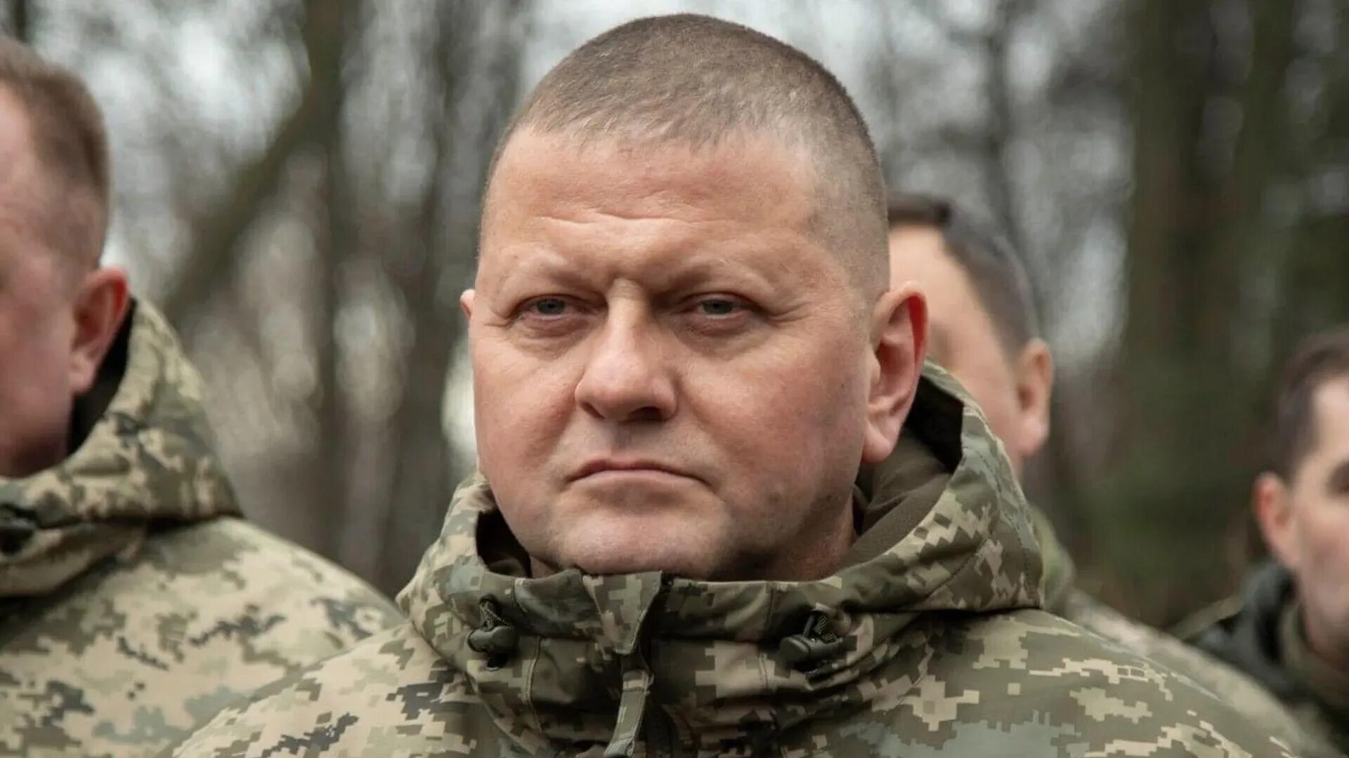Валерием федоровичем залужным