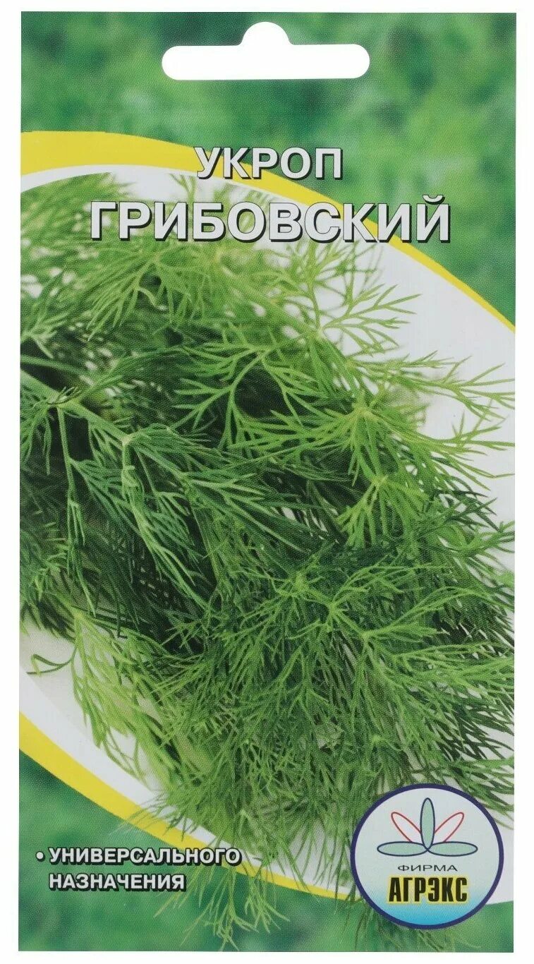 укроп грибовский. укроп грибовский. укроп грибовский агроуспех. укроп грибовский агроуспех. укроп грибовский седек.