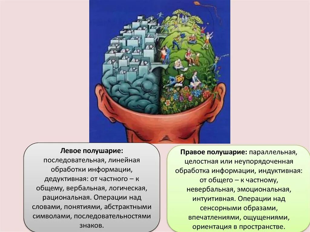 Правом полушарии. Левое полушарие. Правое полушарие. Левое рациональное полушарие. Если развито левое полушарие.