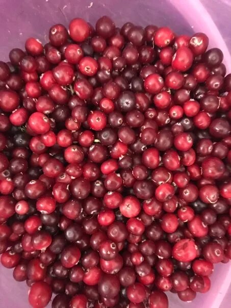 Клюква 1 литр. Клюква за 1 кг. Литровая банка клюквы. Сколько килограмм клюквы. Литр клюквы в кг.