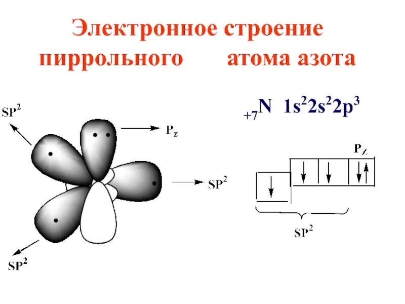 Электронное строение пиррольного и пиридинового атома азота. Электронное строение атома азота. Электронное строение пиррольного атома азота. Пространственное строение азота.