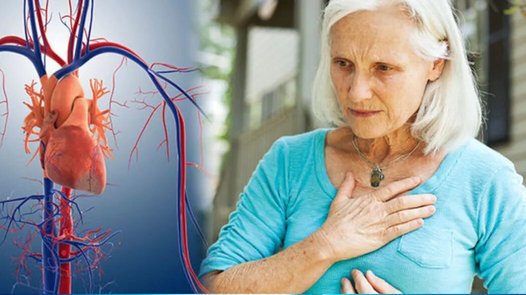 Сердце у пожилых людей. Заболевание сердца у пожилых людей.