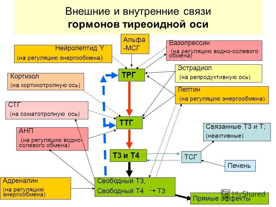 Управление внутренними связями