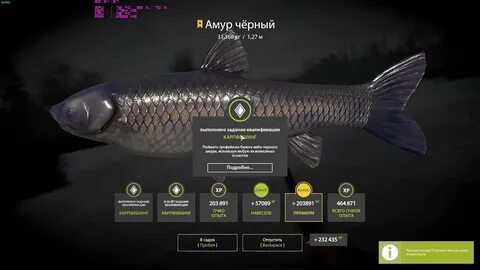 Трофы рр4