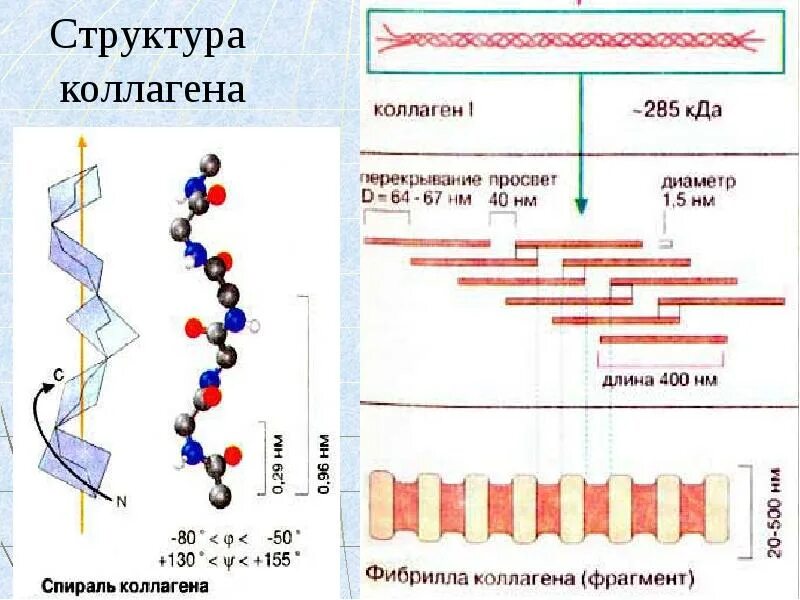 Какой состав в коллагене