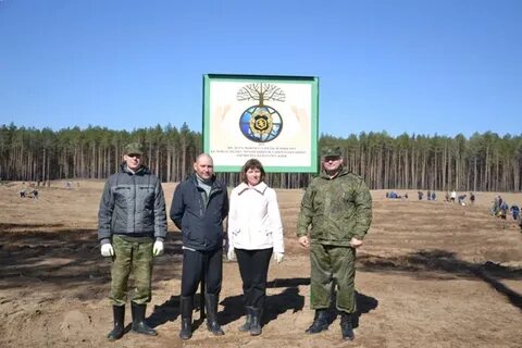 Гку лесничество
