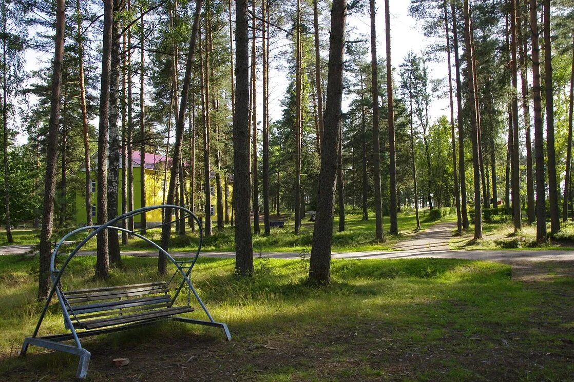 Дол лемболово. Лагерь в Ленинградской области дол Пионер. Лагерь Пионер в Лемболово. Лемболовское озеро дол Пионер. Лемболово Ленинградская область "Пионер лагерь Пионер.