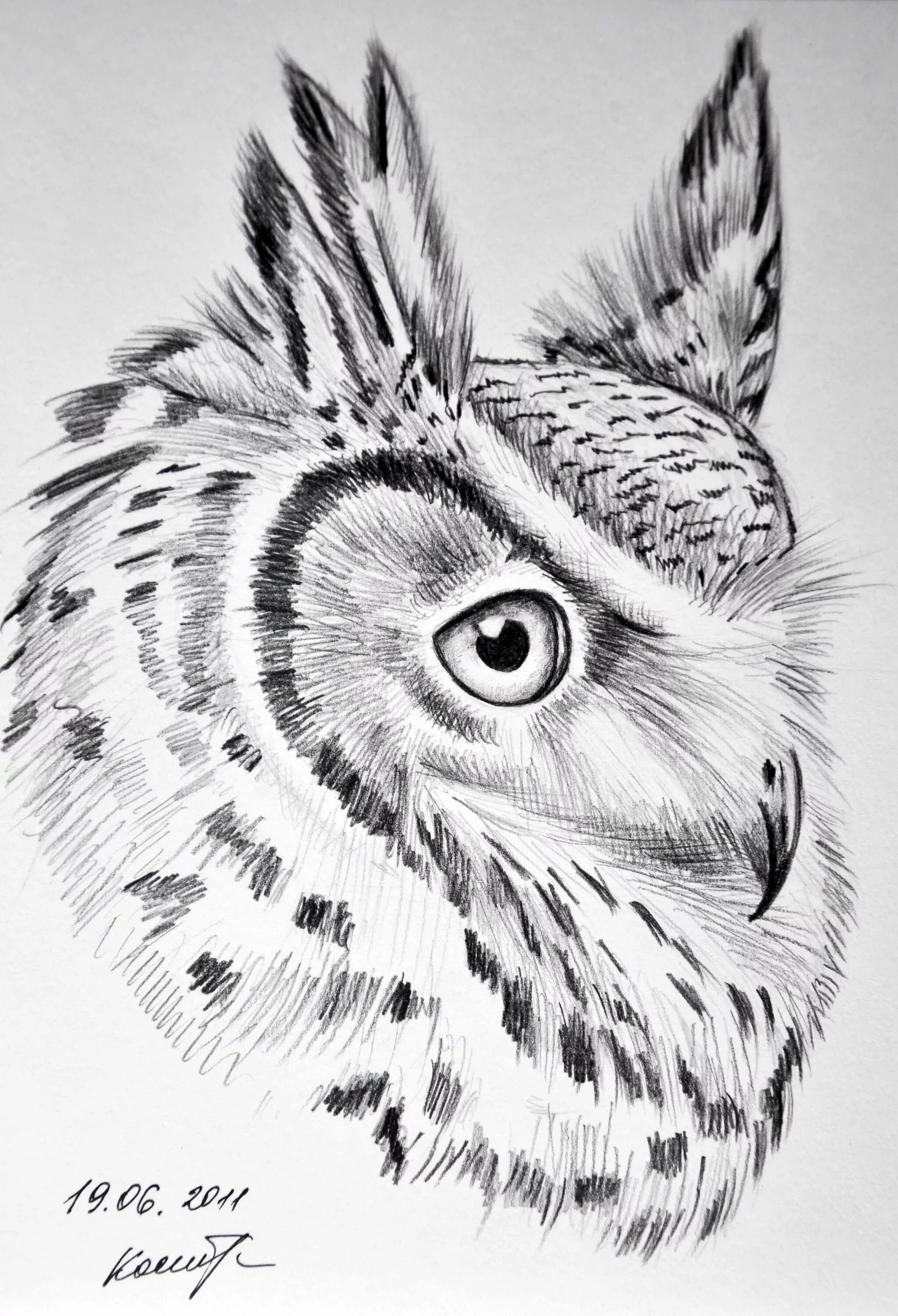 Vera Bondare Saatchi Art Rabbit art, Rabbit drawing, Animal drawings