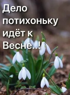 Медленно пошли